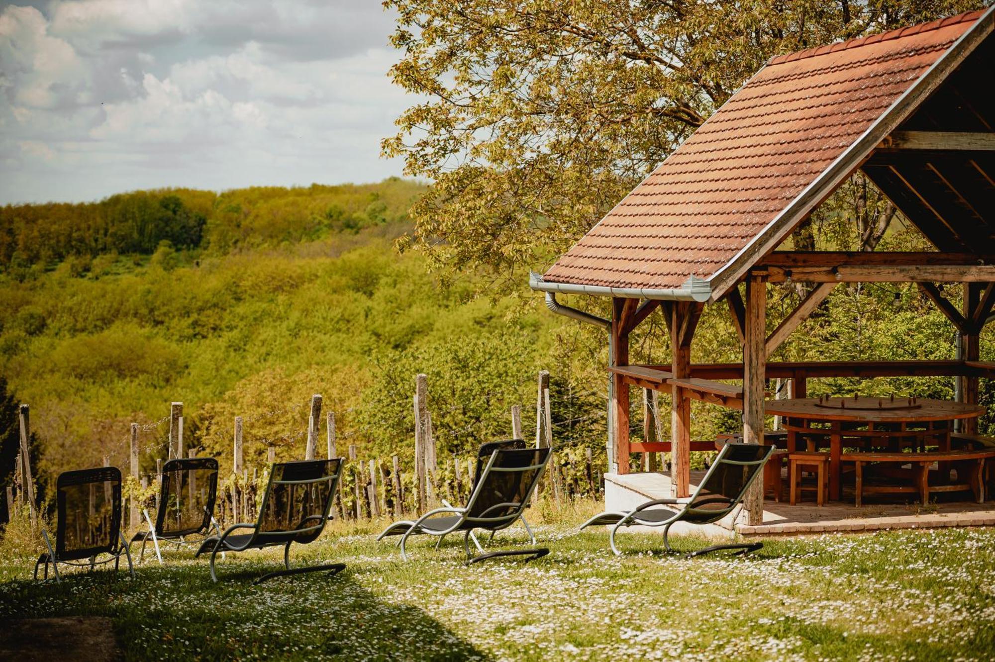 Foerhenc Wine House & Guesthouses I-Ii-Iii Nagykanizsa Exterior photo